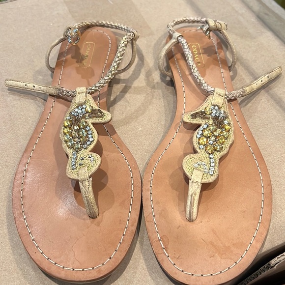 Coach seahorse sandals - Picture 1 of 6